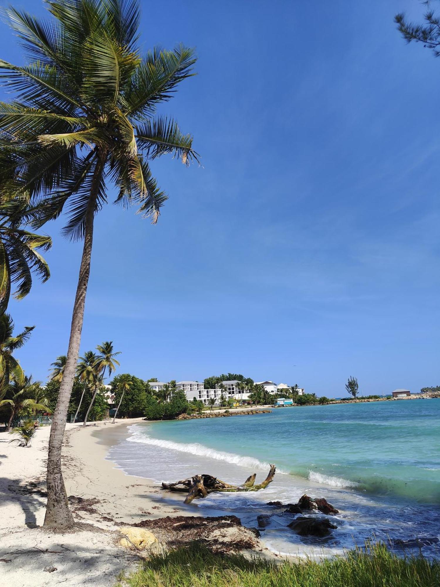 Studio West-Indies Residence Savane Et Archipel Le Gosier  Exterior foto